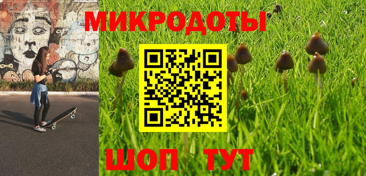 Псилоцибиновые грибы Psilocybe  Вход с VPN  Советская Гавань 