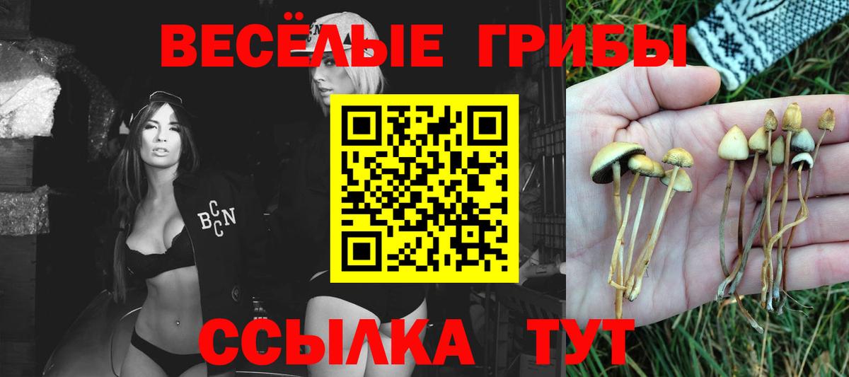Галлюциногенные грибы Psilocybine cubensis Советская Гавань